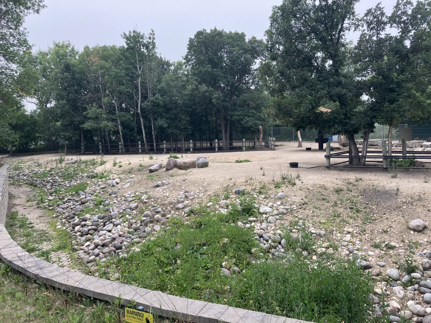 Asia - Red Kangaroo Exhibit