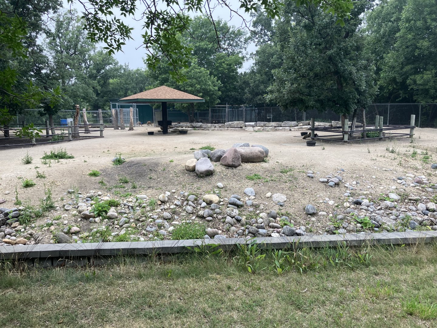 Asia - Red Kangaroo Exhibit