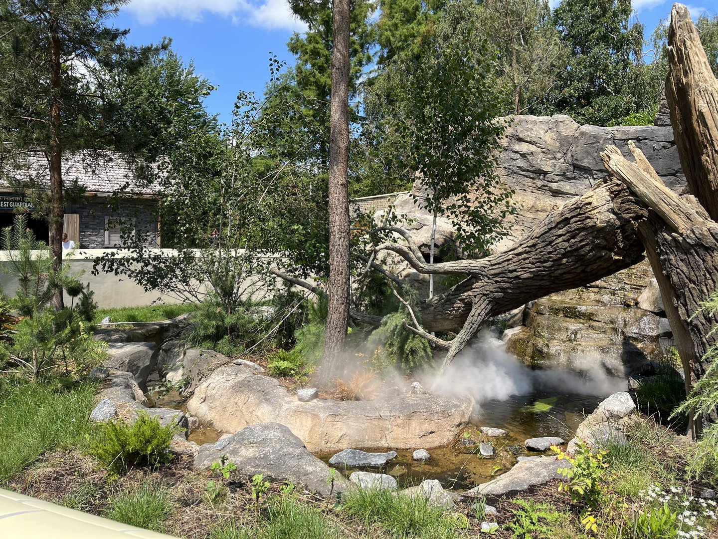 Asia- Red panda and Tufted deer enclosure 13.7.23