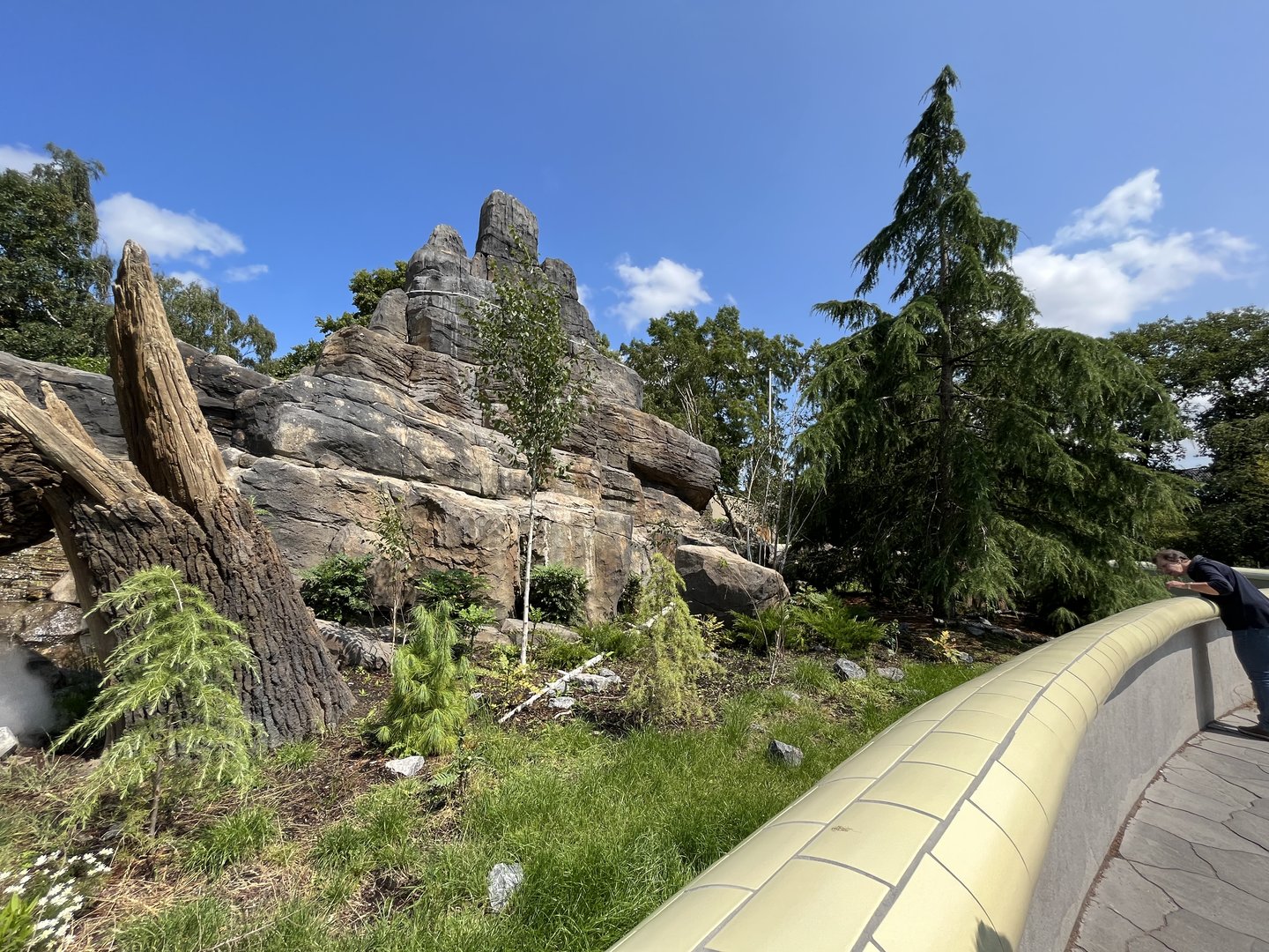 Asia- Red panda and Tufted deer enclosure 13.7.23