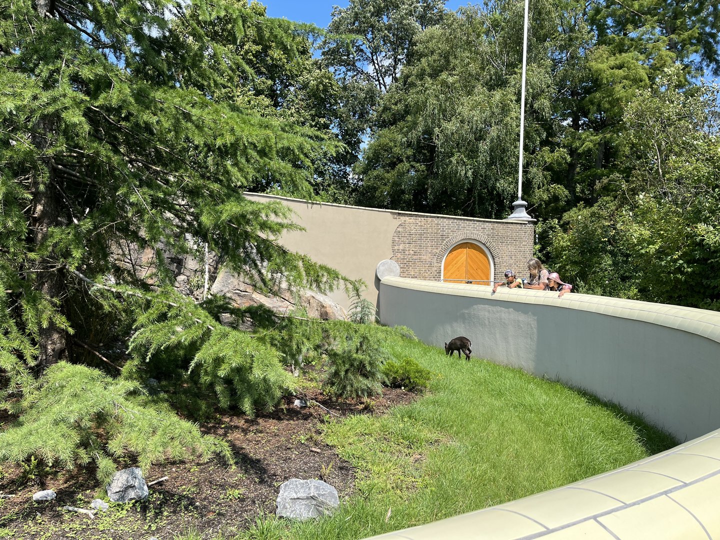 Asia- Red panda and Tufted deer enclosure 13.7.23