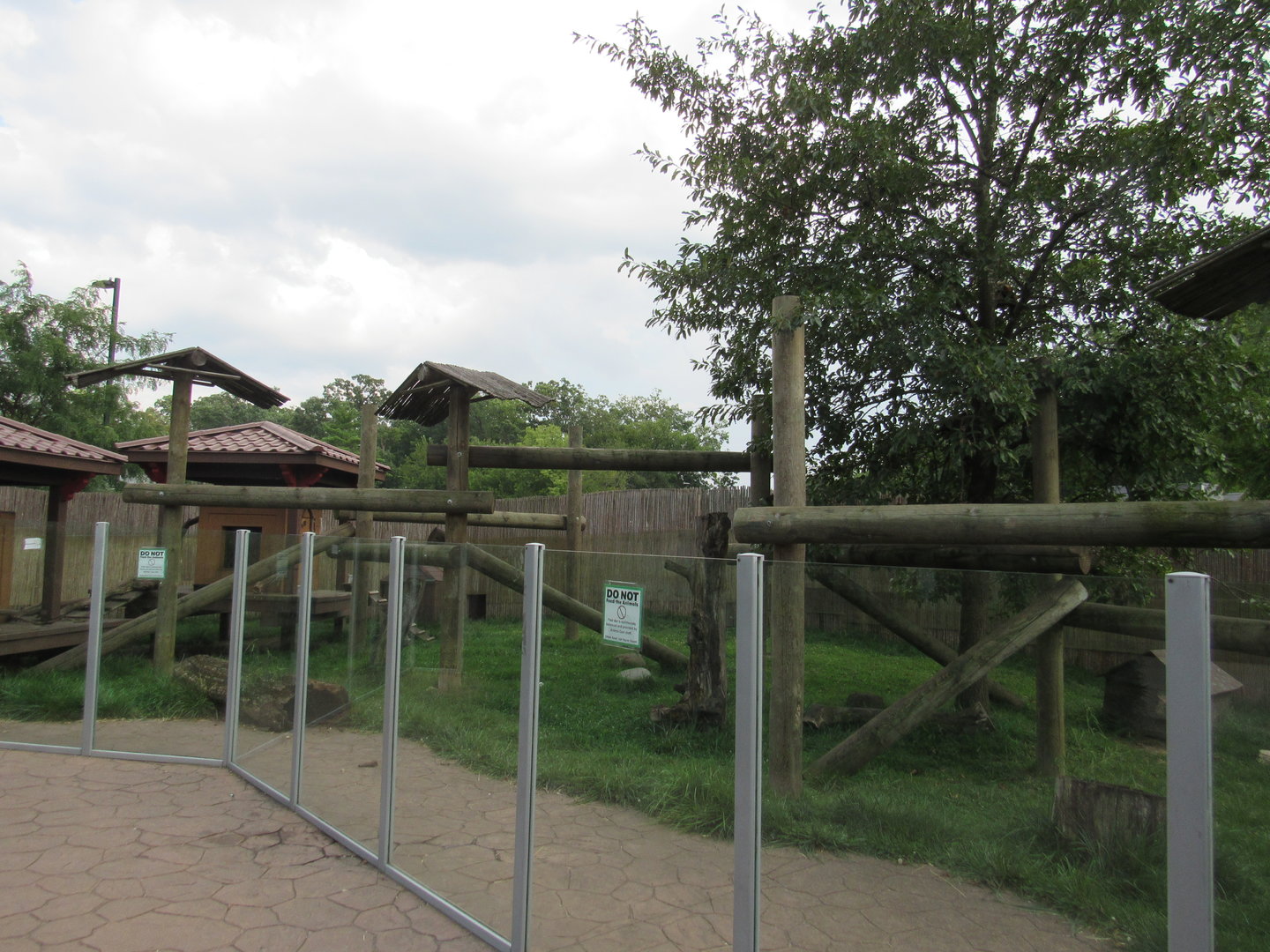 Asia - Red Panda, Reeve's Muntjac Exhibit
