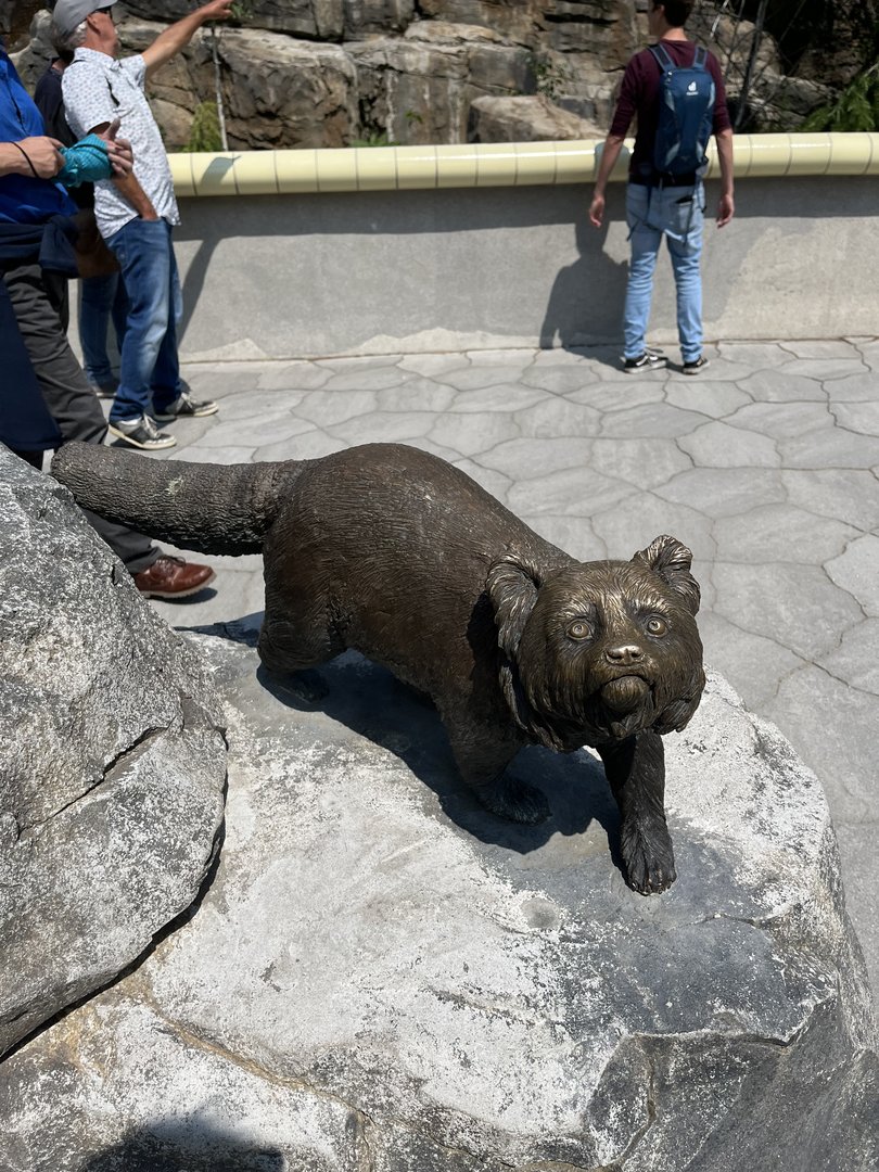 Asia- Red panda statue 13.7.23