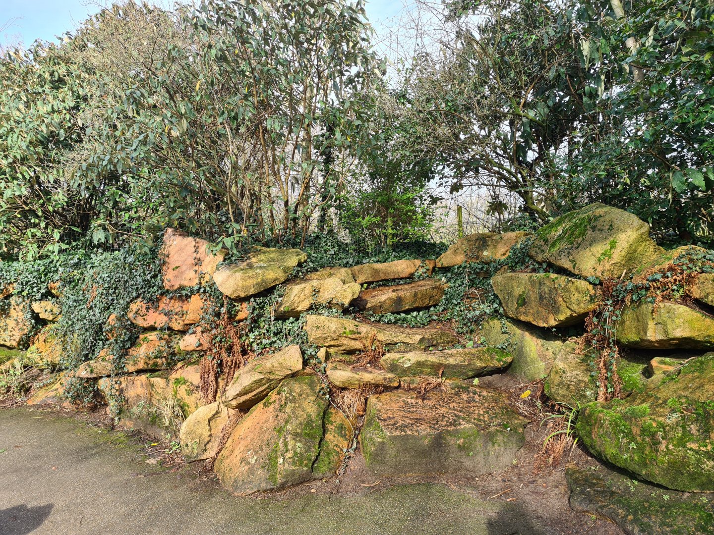 Asia - Rockwork and viewing point to Bactrian Camels