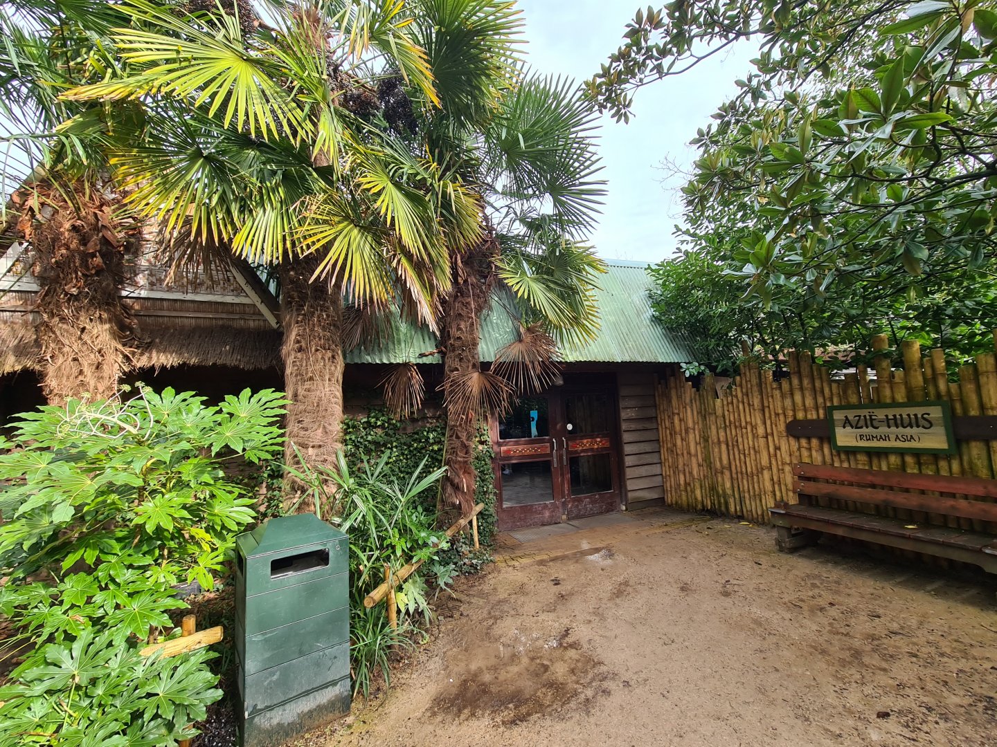 Asia - Rumah Asia (Asia house) exit