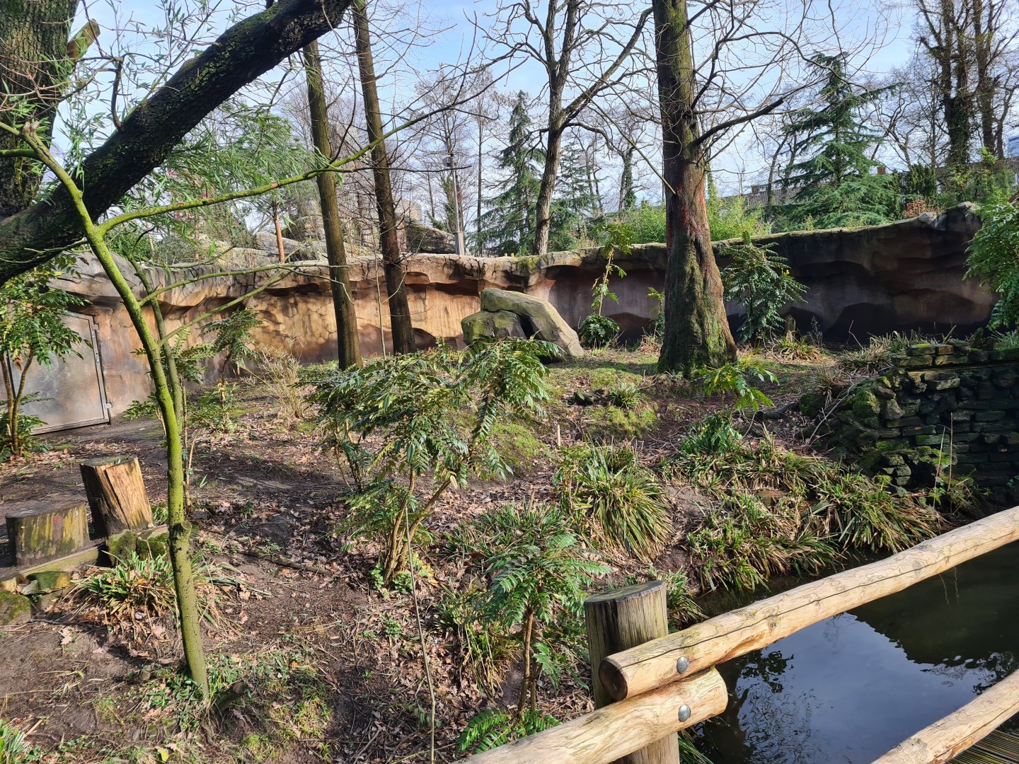 Asia - Second red panda enclosure
