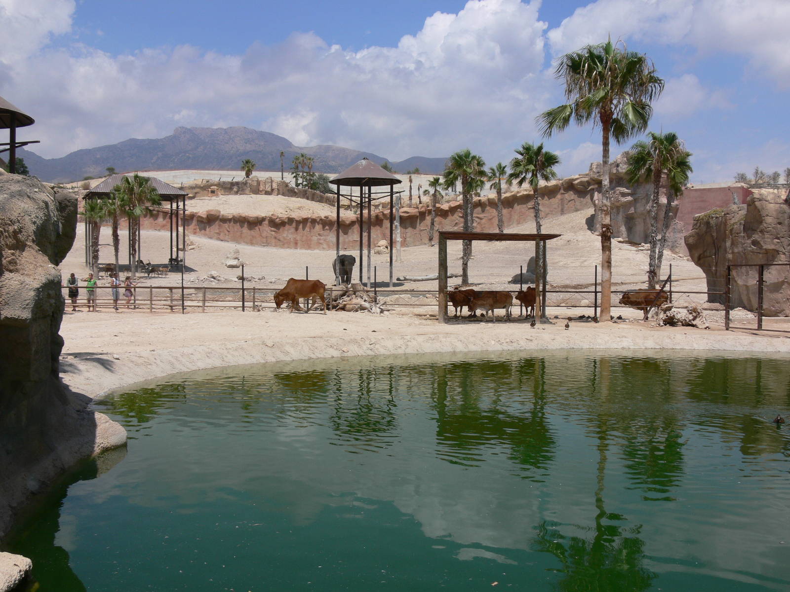 'Asia' section at Terra Natura, 03/08/14