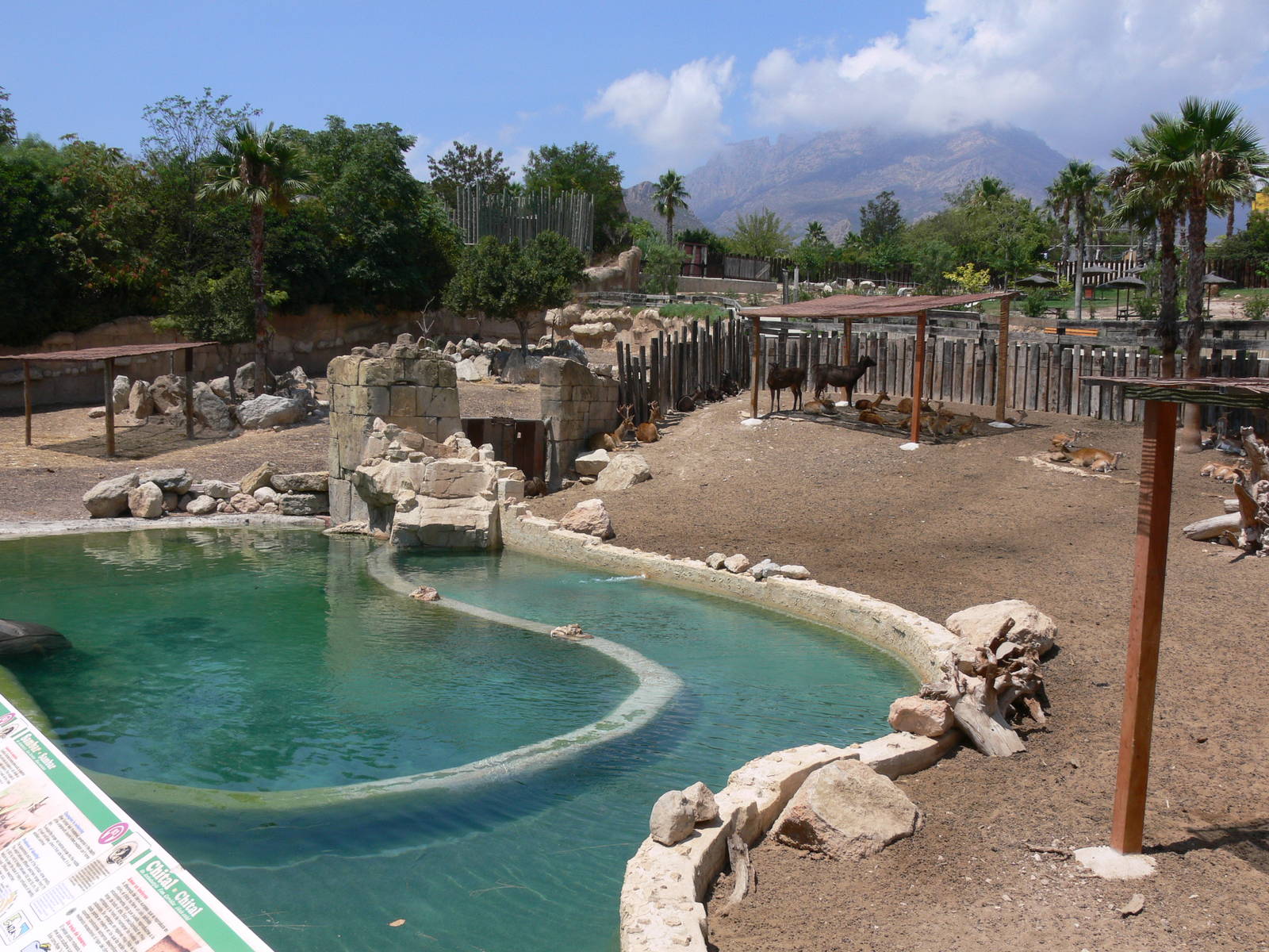 'Asia' section at Terra Natura, 03/08/14