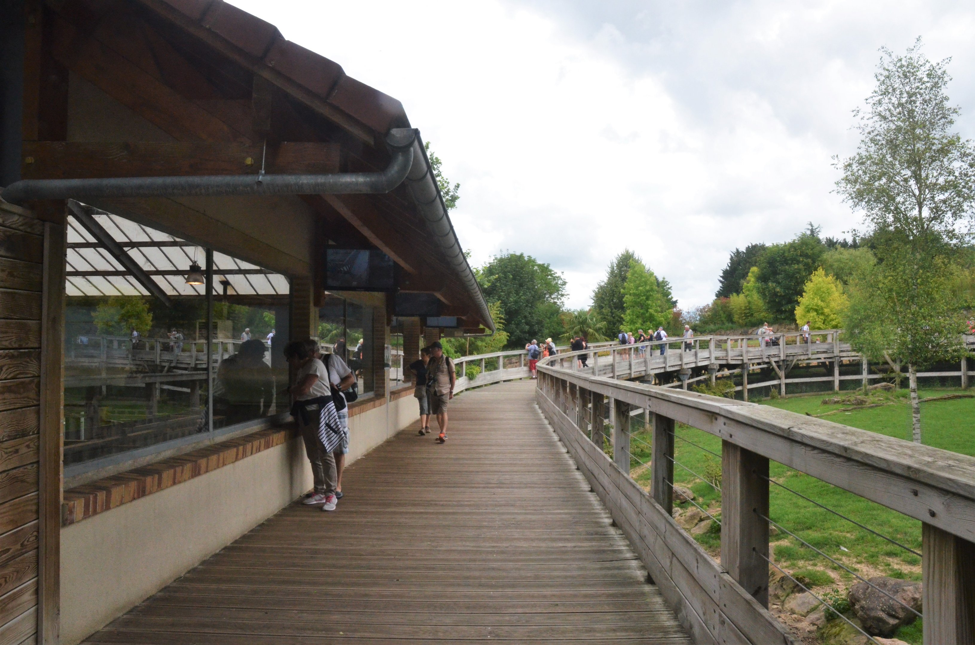 Asia Section Viewing at Beauval, 12/06/18