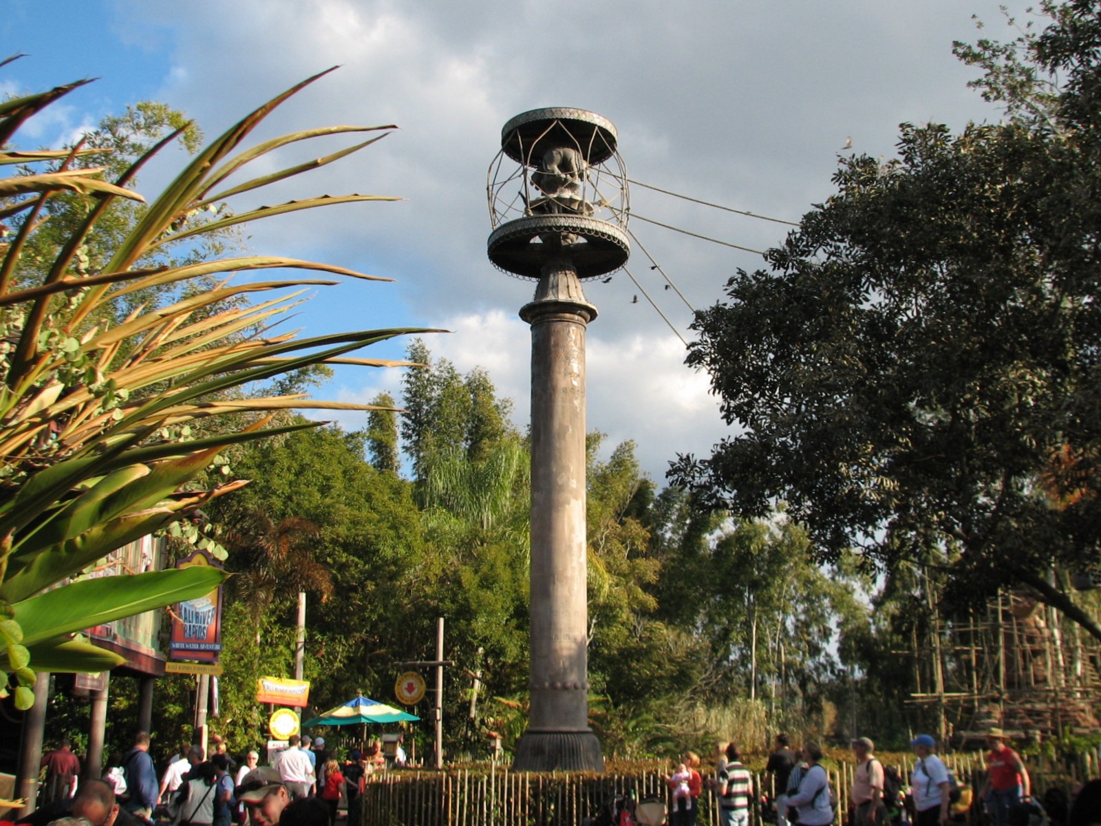 Asia - Siamang Exhibit