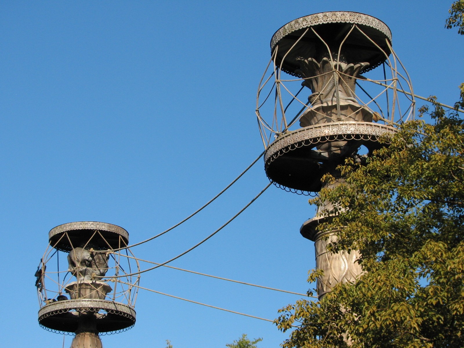 Asia - Siamang Exhibit