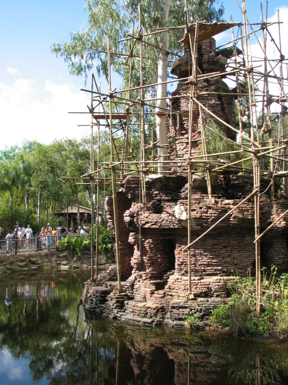 Asia - Siamang Exhibit
