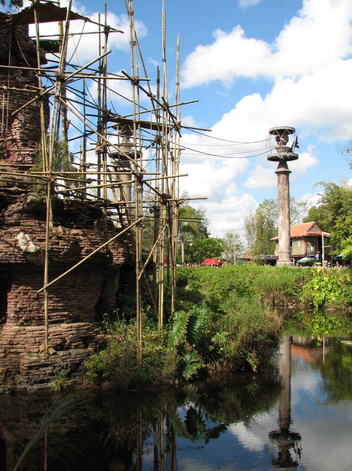 Asia - Siamang Exhibit