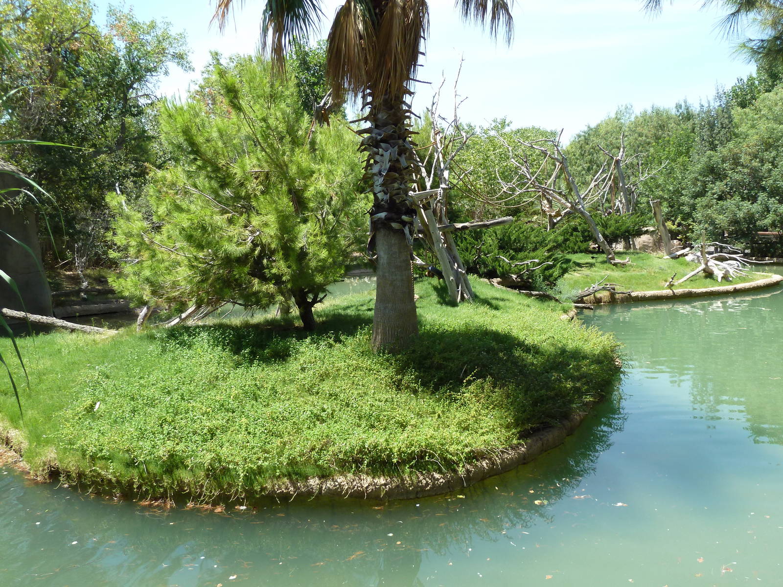 Asia - Siamang Island