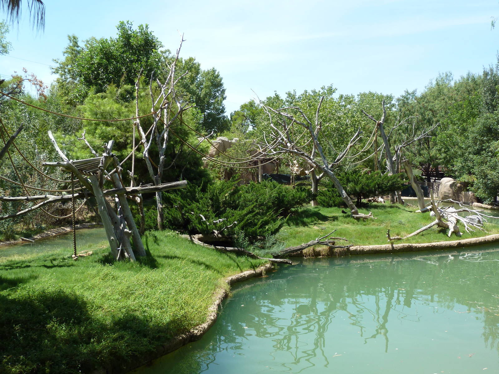 Asia - Siamang Island