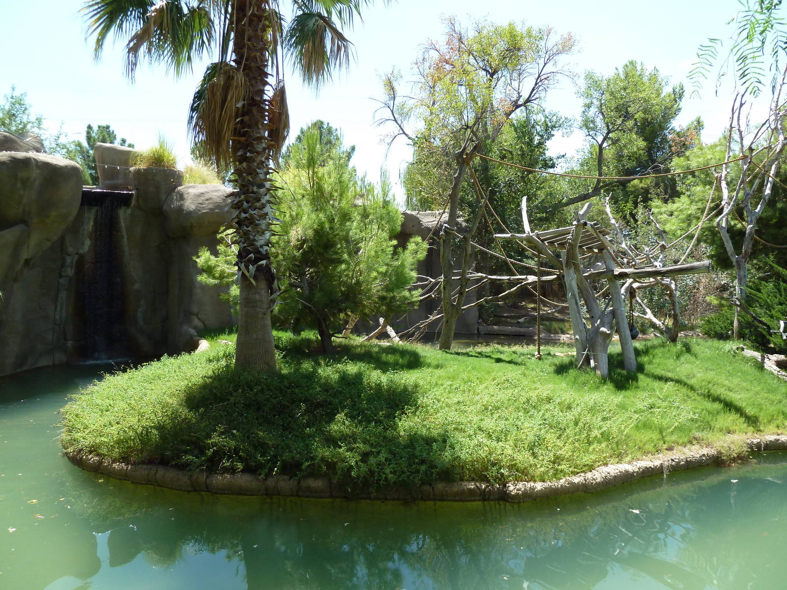 Asia - Siamang Island