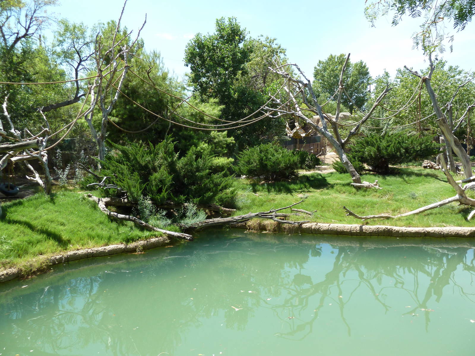 Asia - Siamang Island