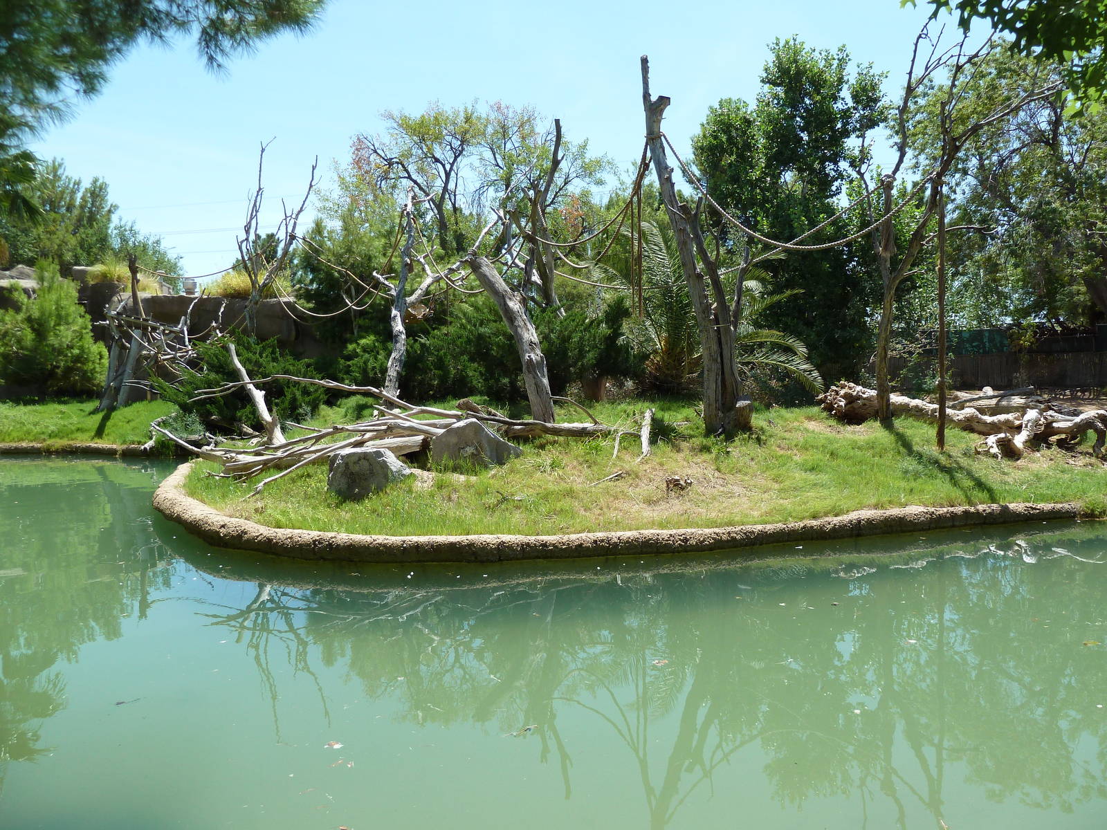 Asia - Siamang Island