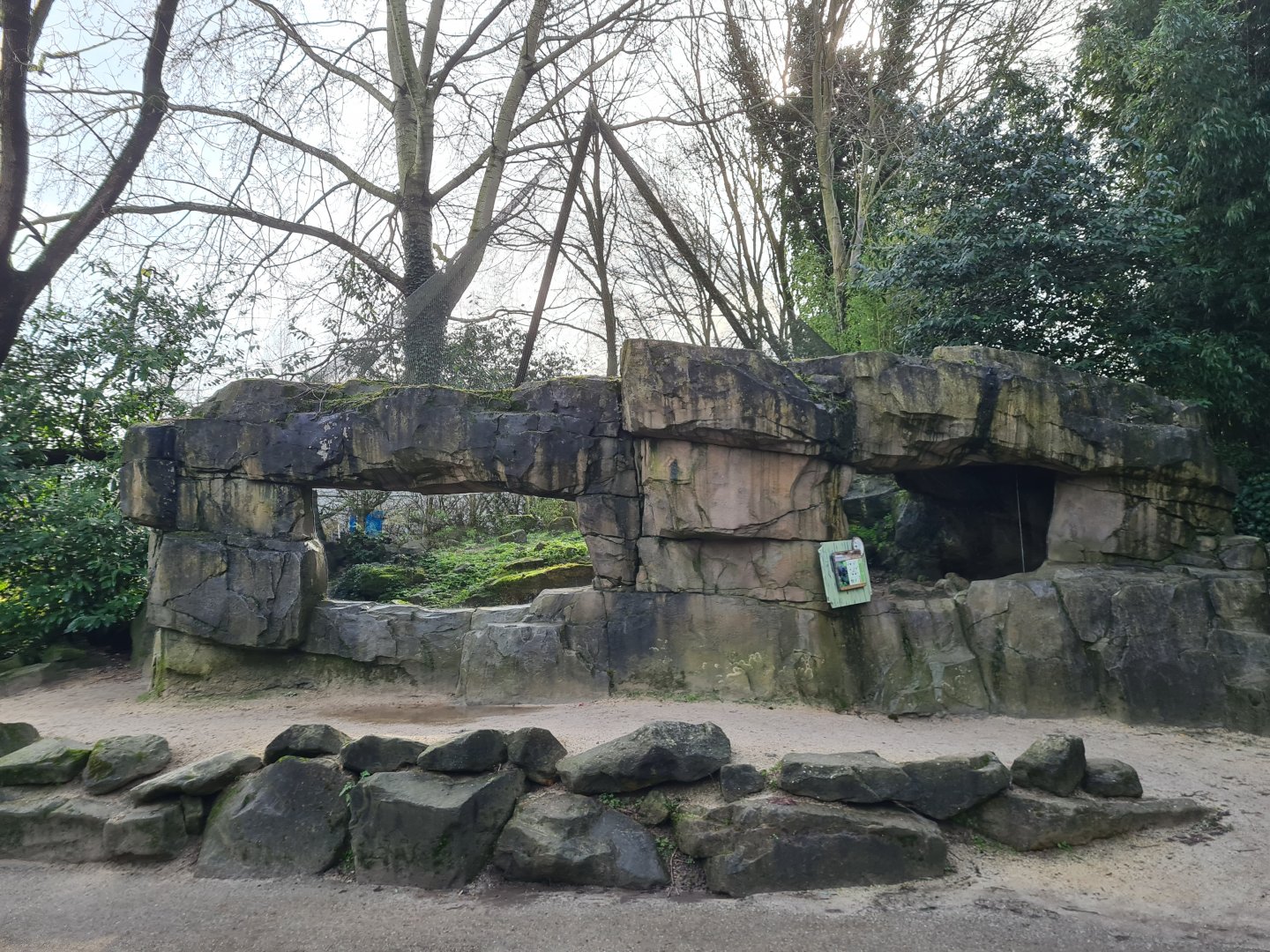 Asia - Siberian Pallas' cat enclosure