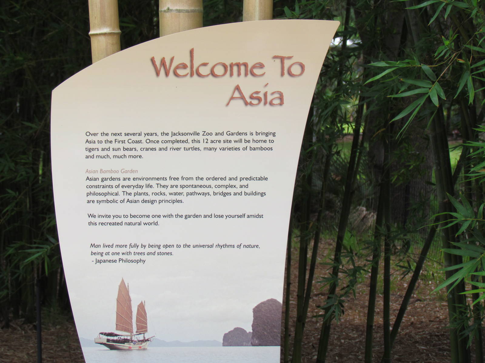 Asia Sign