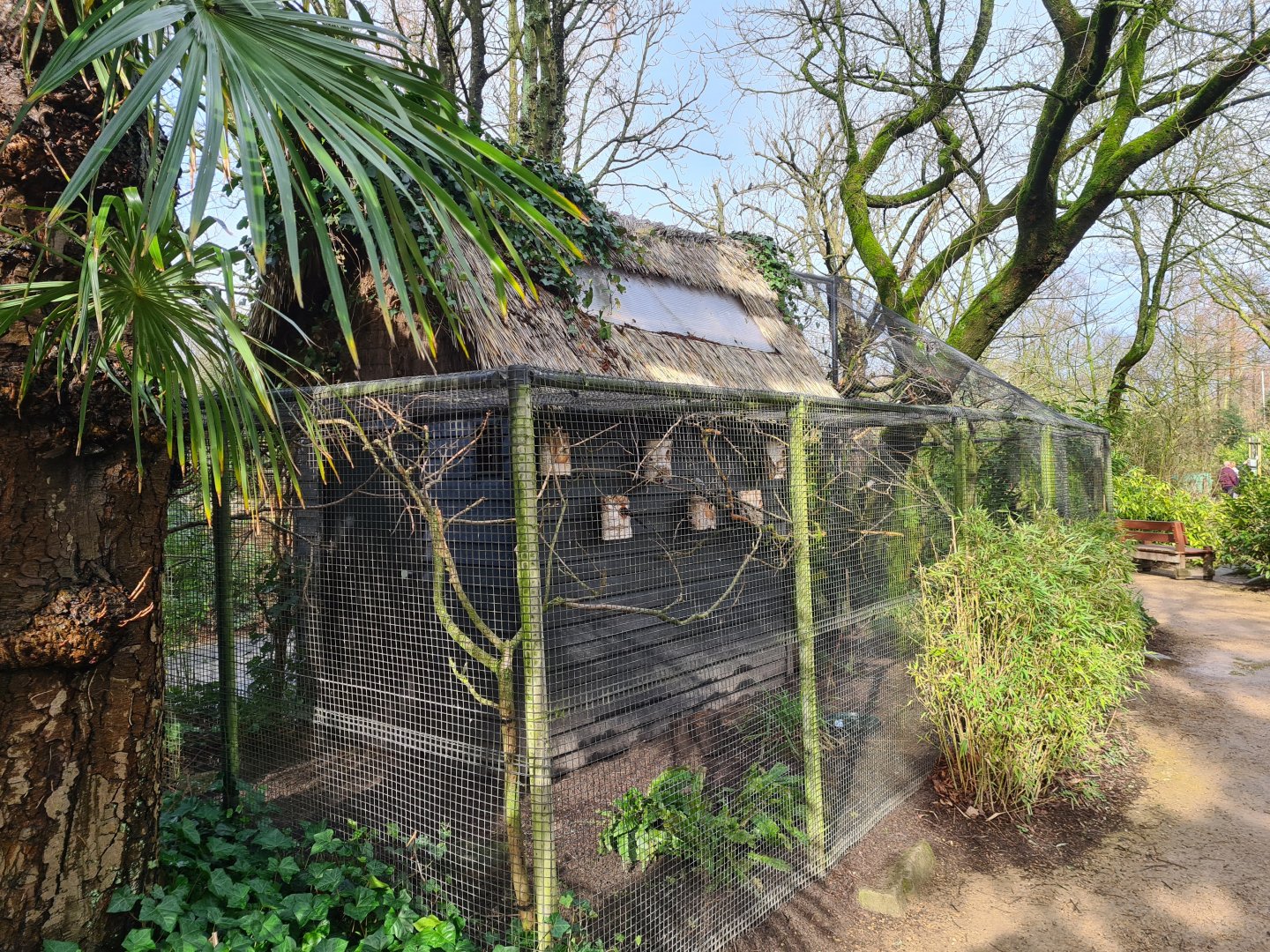 Asia - Small aviary