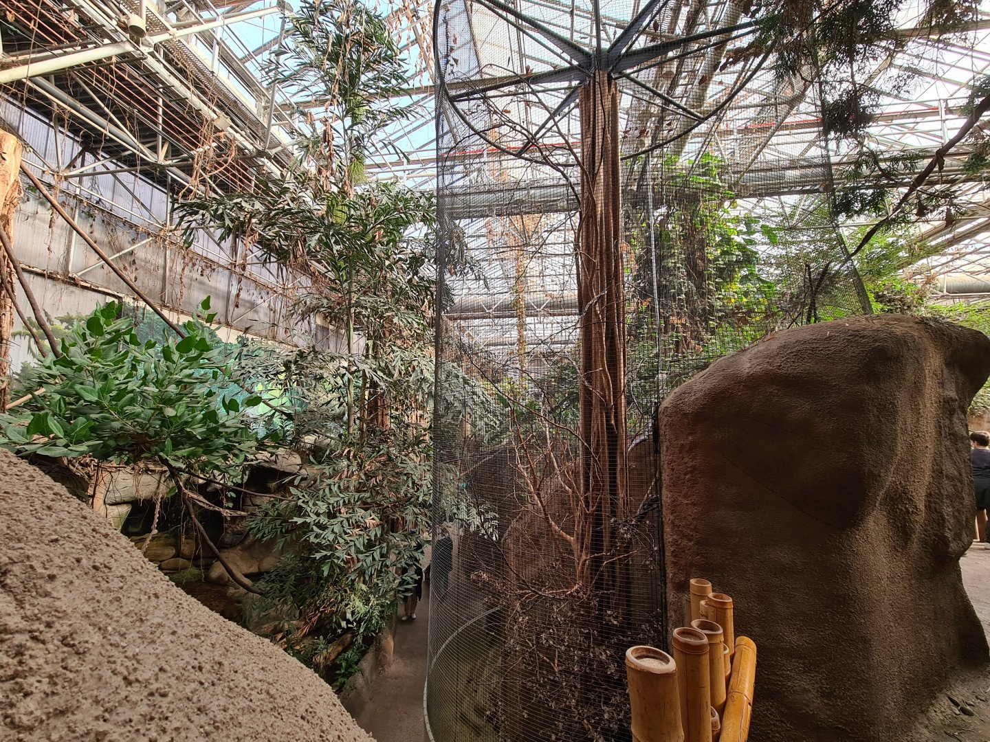 Asia - South Sumatran Prevost's squirrel enclosure in Taman Indah