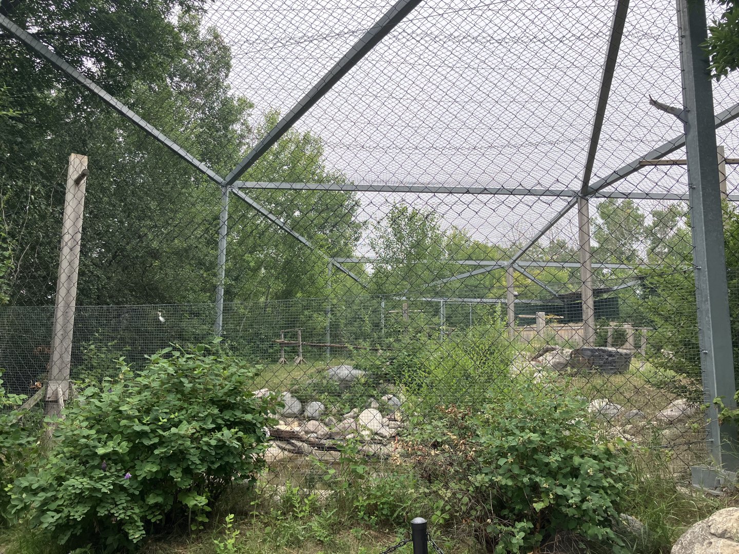 Asia - Steller’s Sea Eagle Aviary