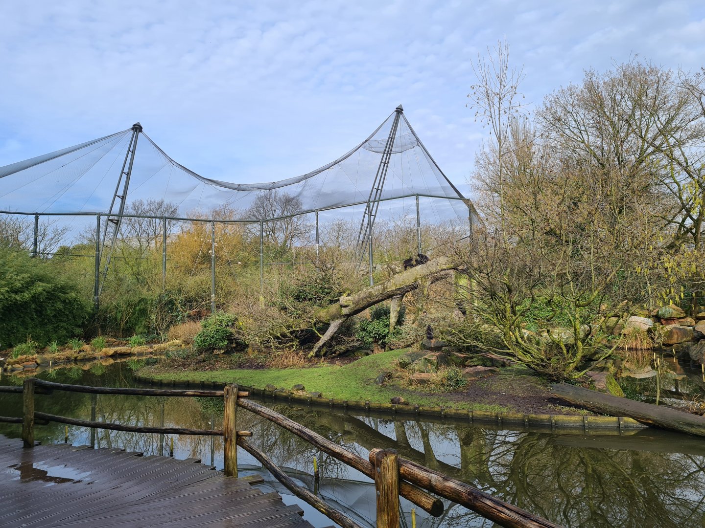 Asia - Sulawesi Black Crested macaque island