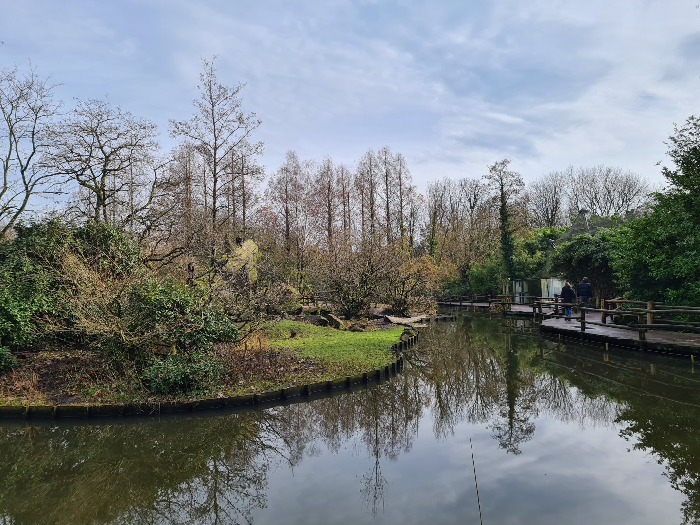 Asia - Sulawesi Black Crested macaque island