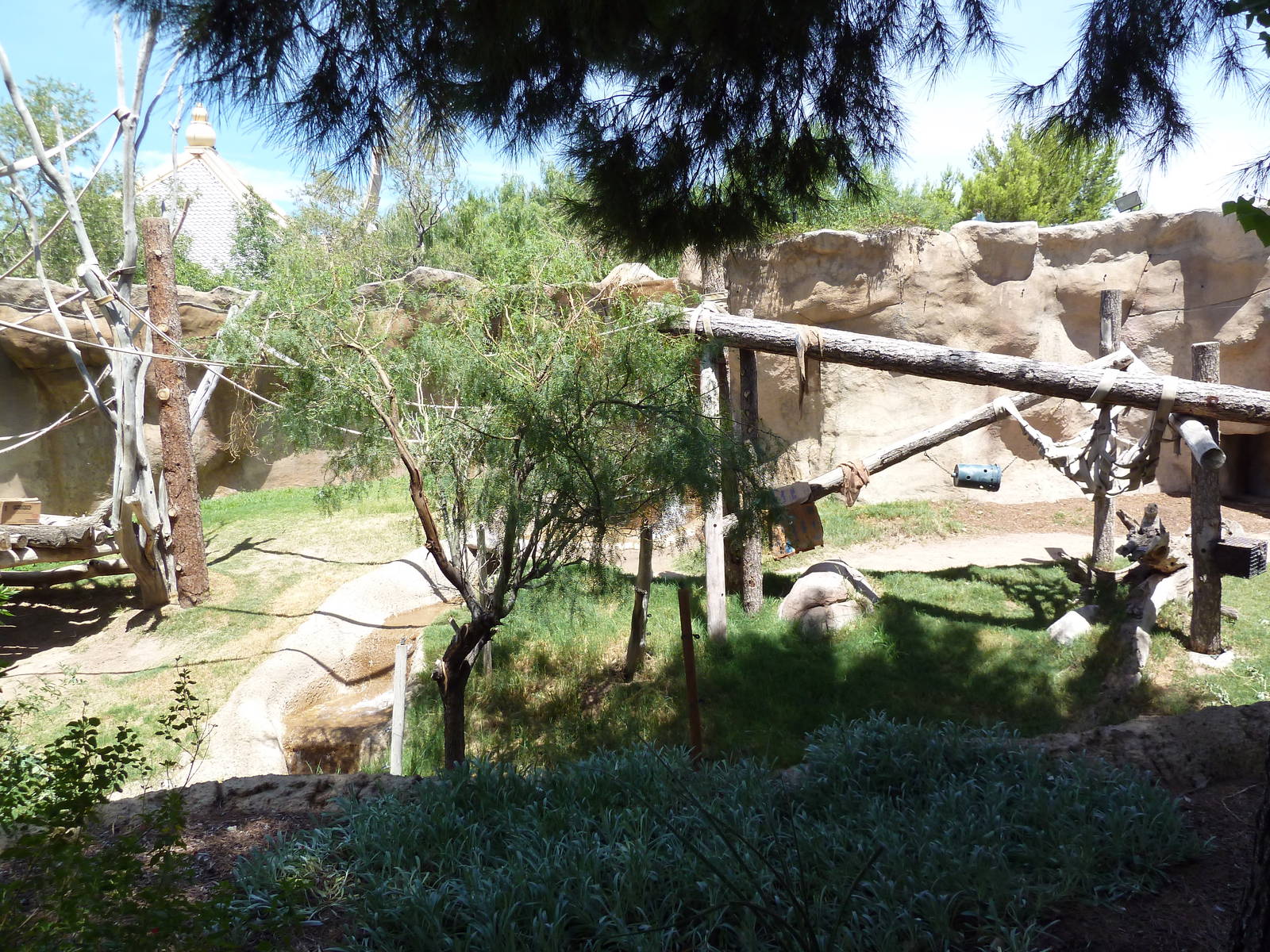 Asia - Sumatran Orangutan Exhibit