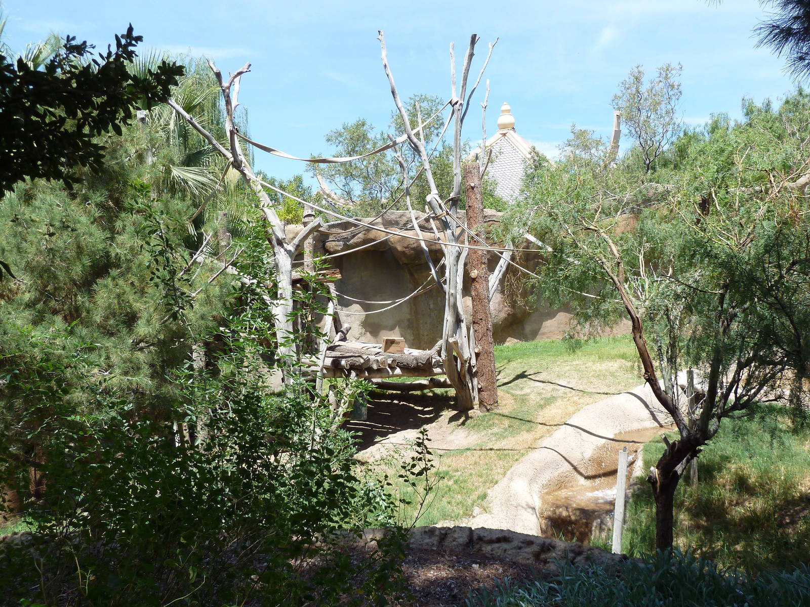 Asia - Sumatran Orangutan Exhibit