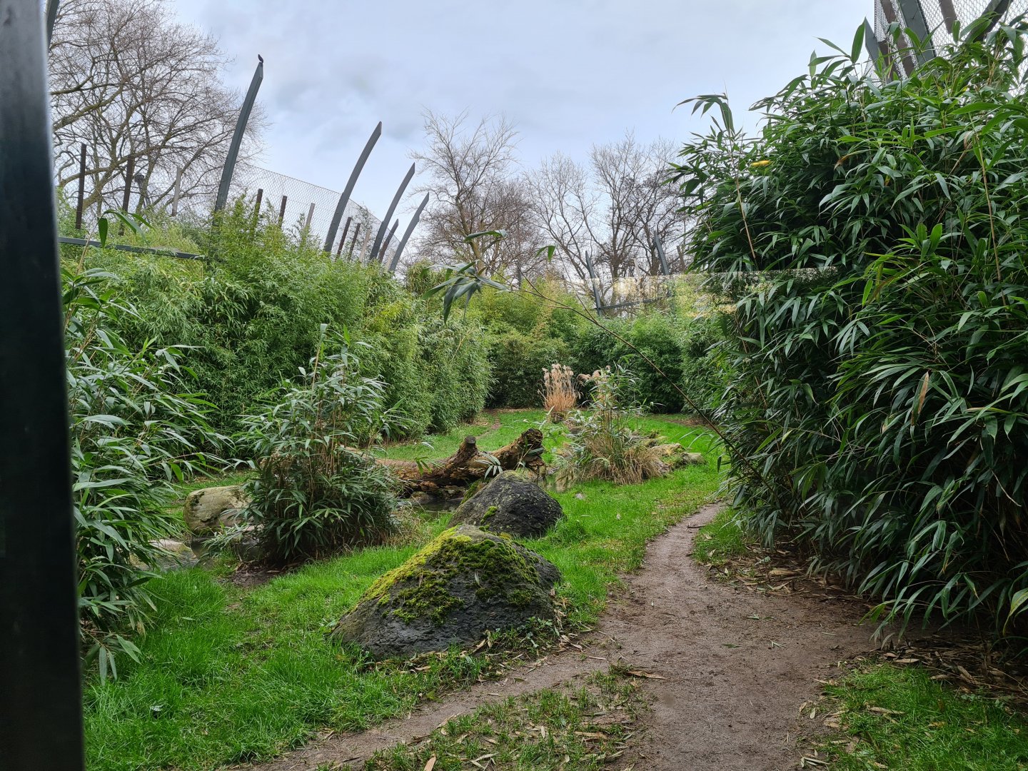 Asia - Sumatran tiger enclosure (Left half)