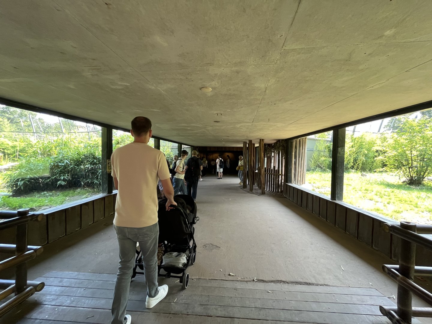 Asia- Sumatran tiger viewing area 13.7.23