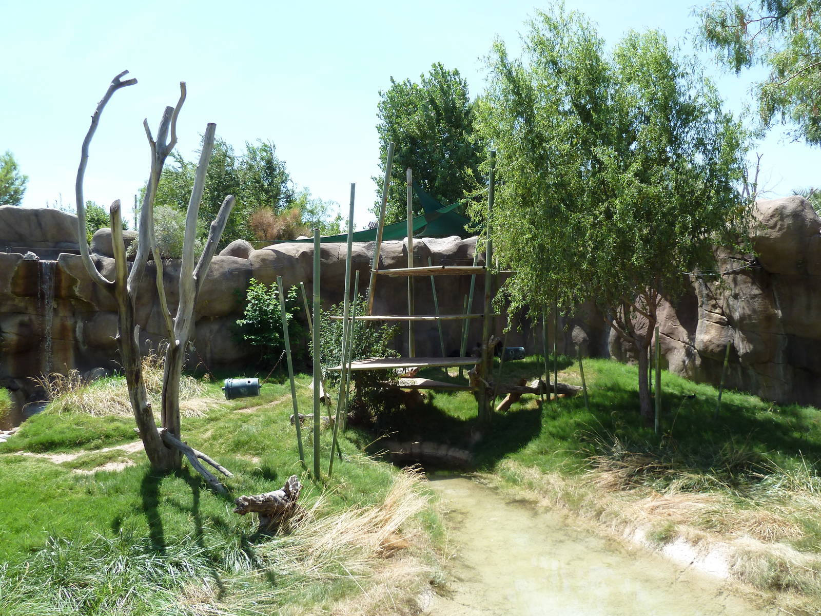 Asia - Sun Bear Exhibit