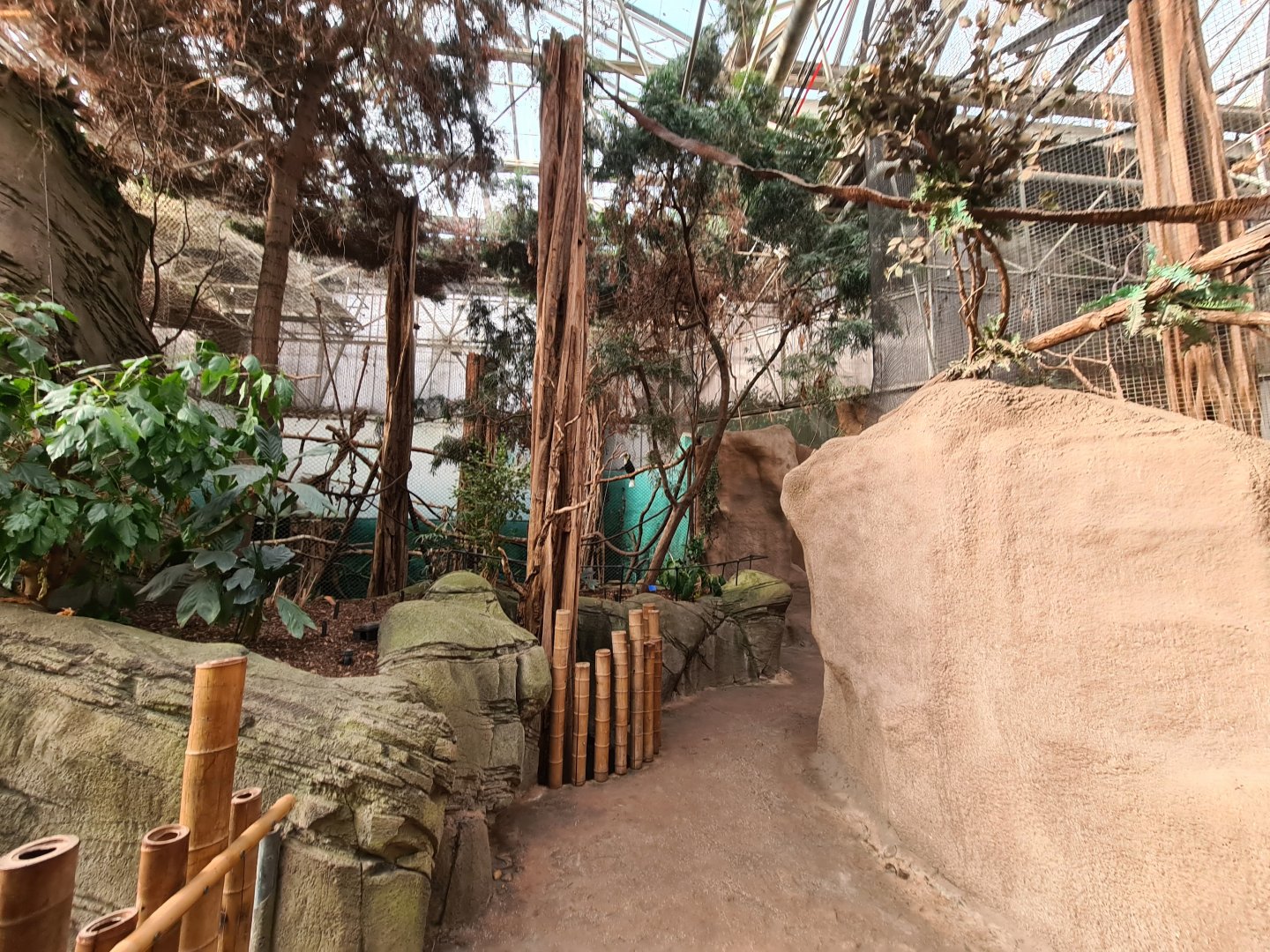 Asia - Top floor in Taman Indah