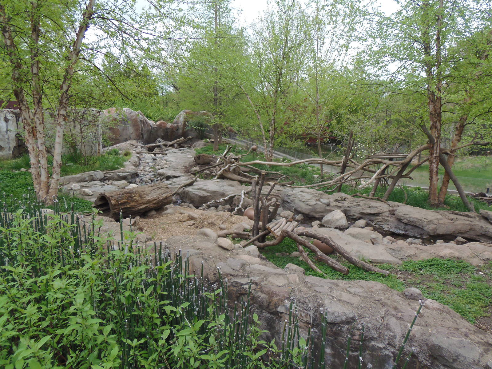 Asia Trail- Asian Small-Clawed Otter Exhibit