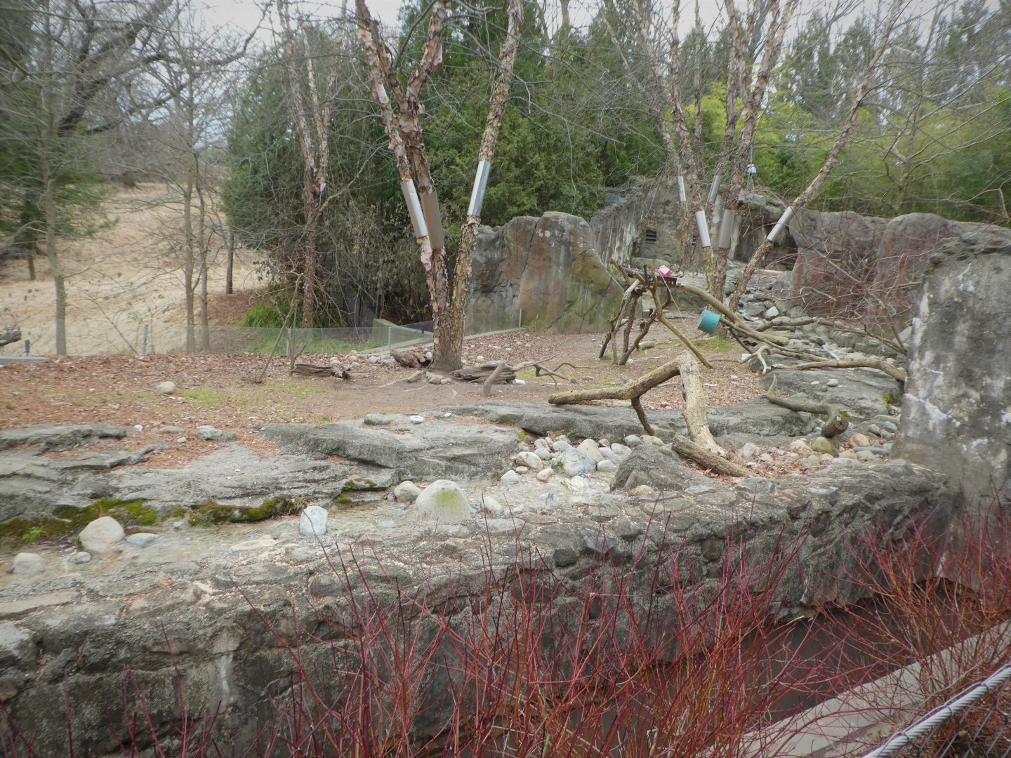 Asia Trail - Asian Small-clawed Otter Exhibit
