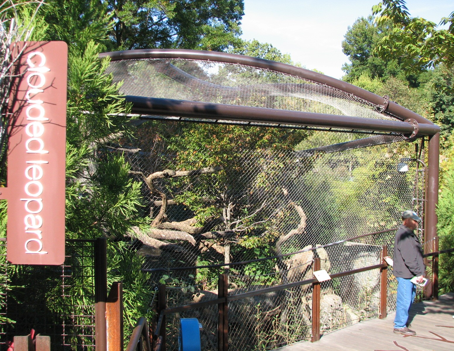 Asia Trail Clouded Leopard Exhibit