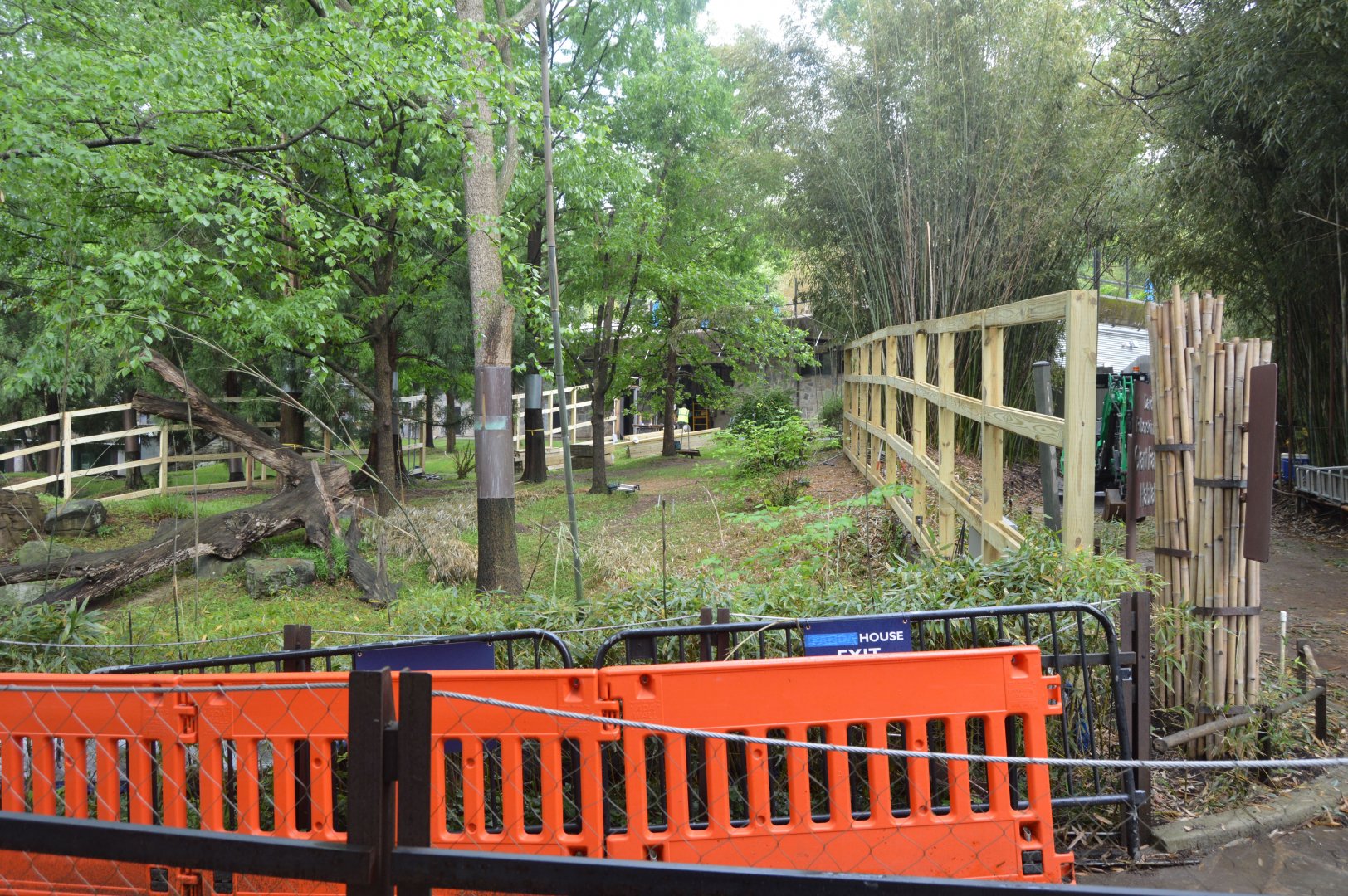 Asia Trail - Construction in the former Giant Panda exhibit