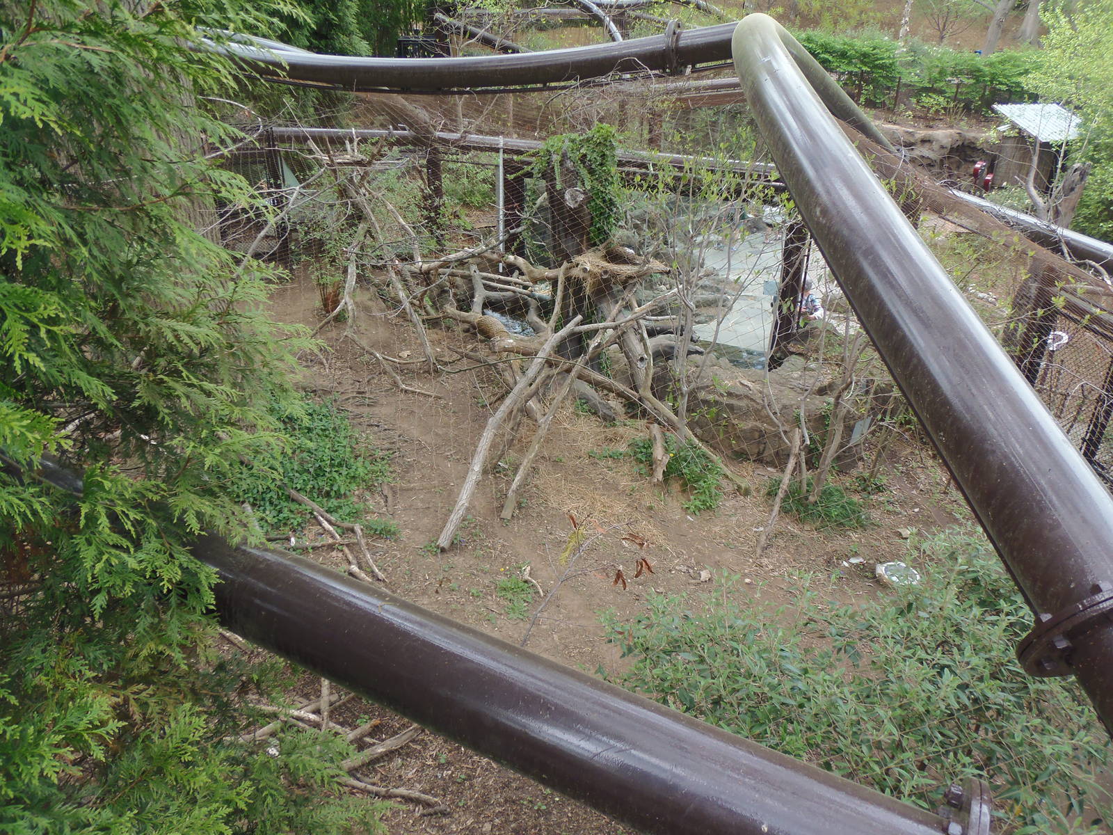 Asia Trail- Fishing Cat Exhibit