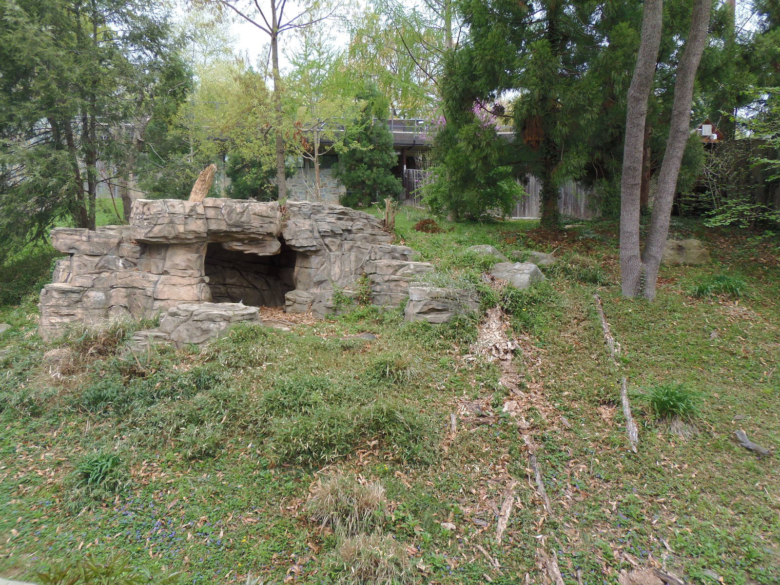 Asia Trail- Giant Panda Yard #1