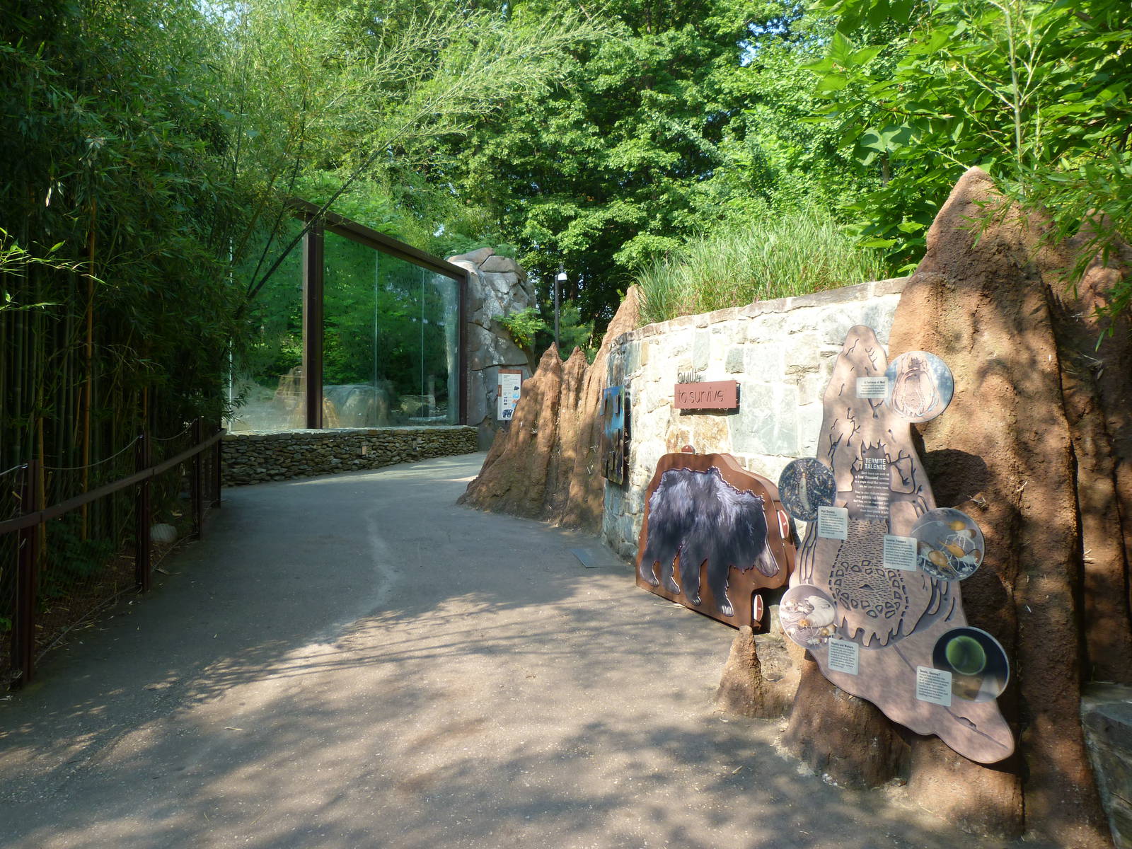 Asia Trail Graphic Art