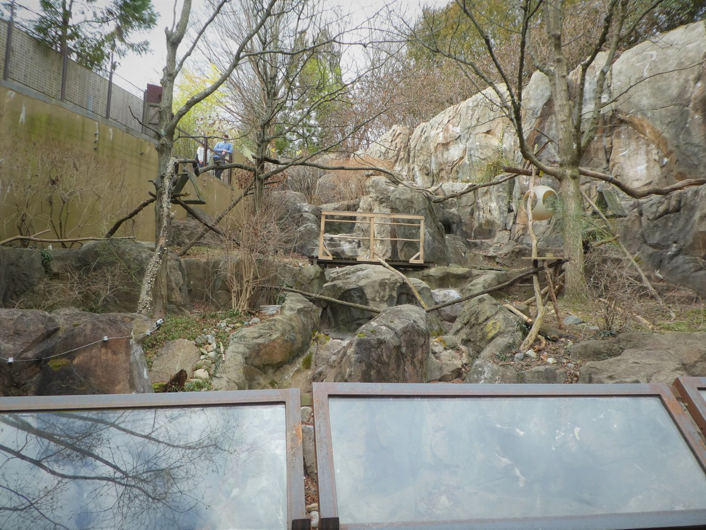 Asia Trail - Himalayan Red Panda Exhibit