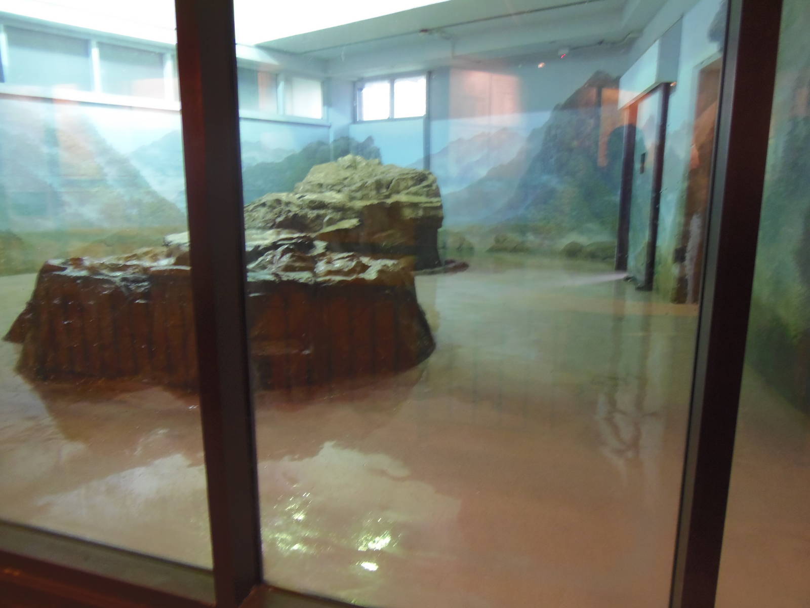 Asia Trail- Indoor Panda Exhibit#1