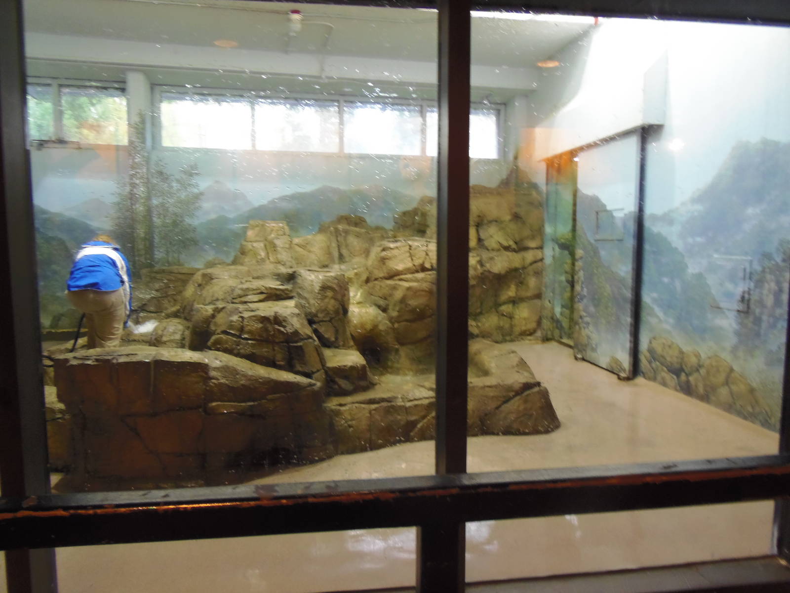 Asia Trail- Indoor Panda Exhibit #2