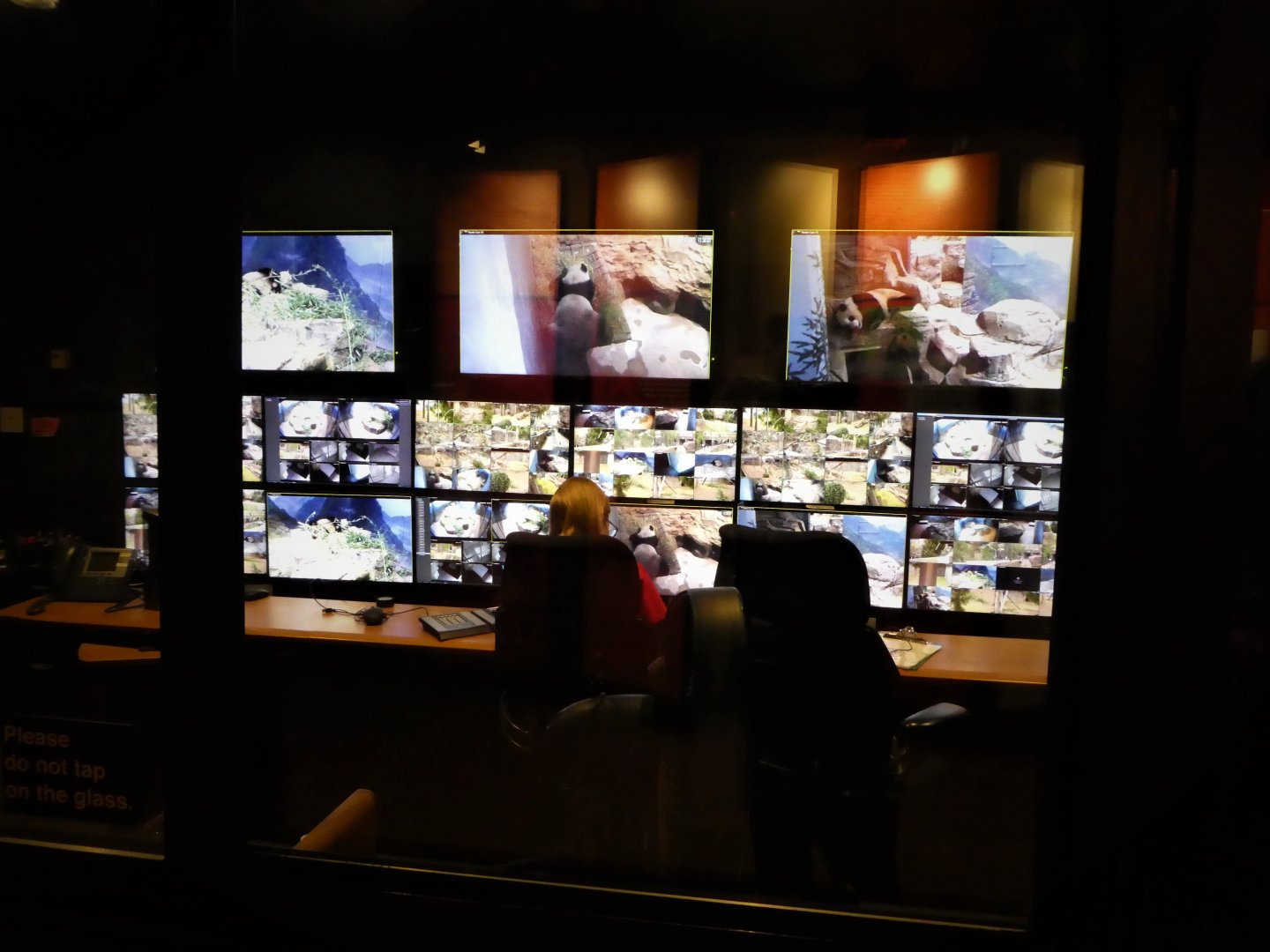 Asia Trail - Panda Surveillance