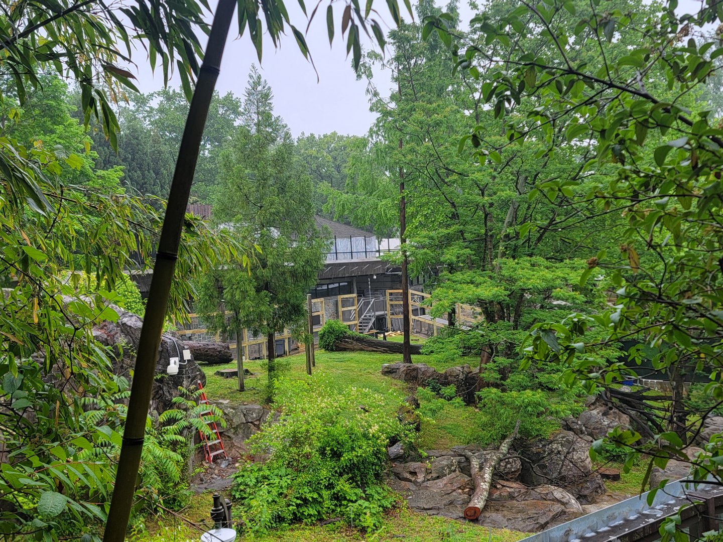 Asia Trail - Panda Yard Construction