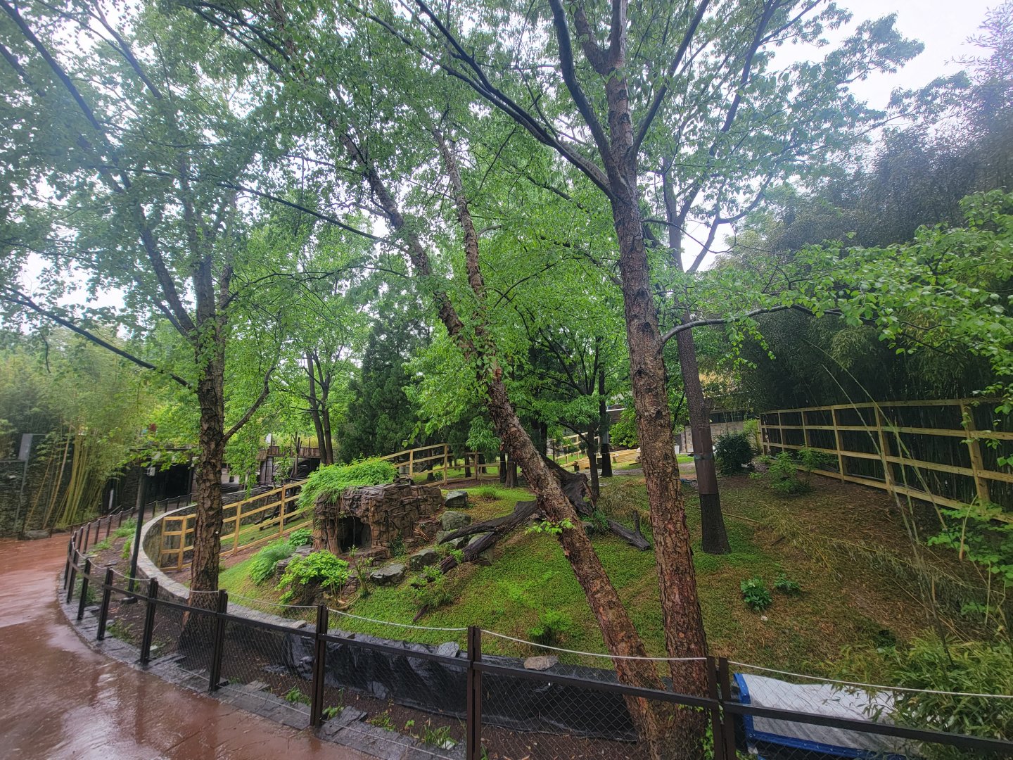 Asia Trail - Panda Yard Construction