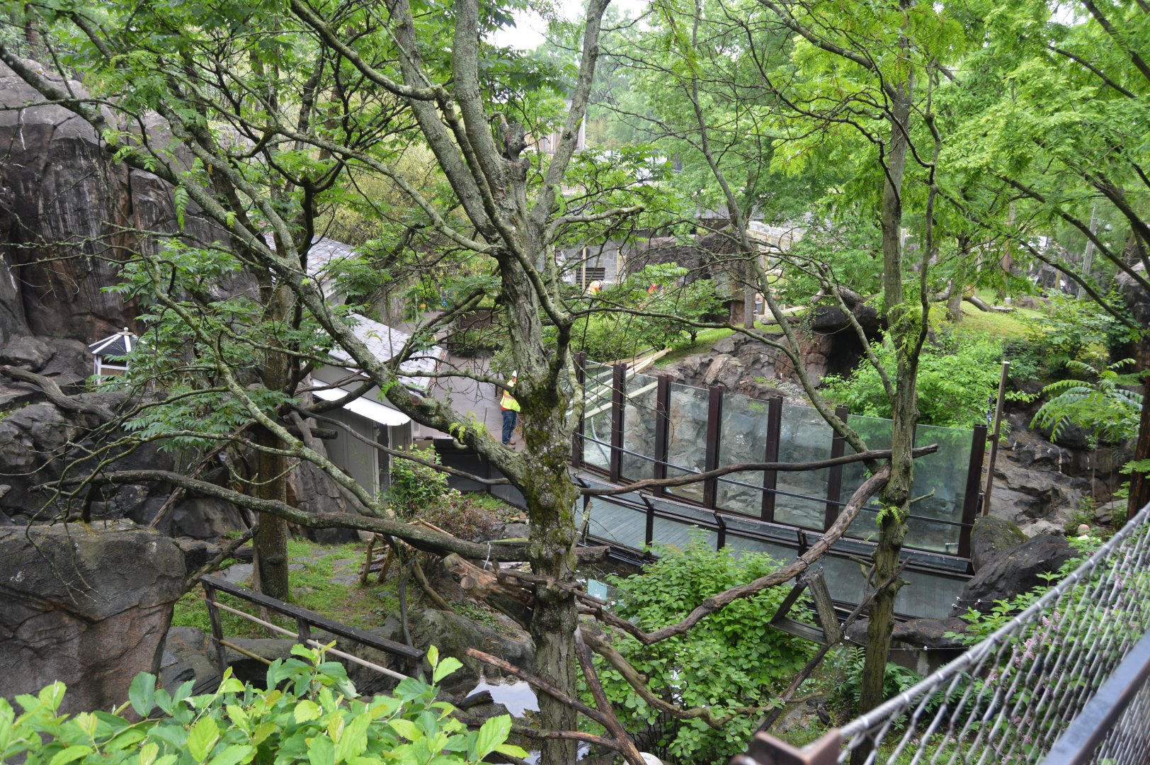 Asia Trail - Red Panda (Ailurus fulgens) Exhibit