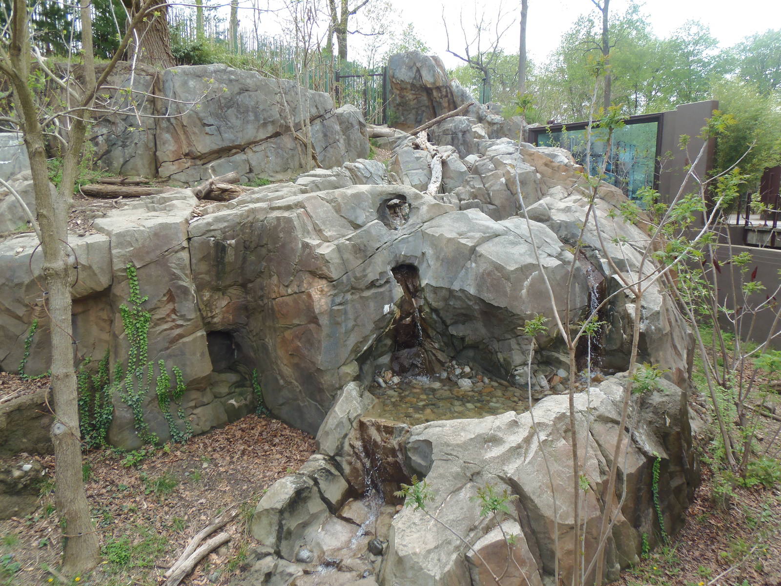 Asia Trail- Sloth Bear Exhibit